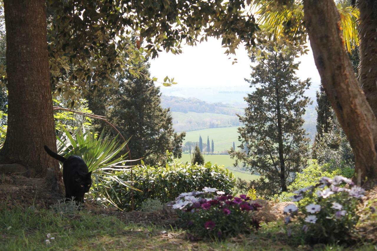 Bb Gli Aristogatti Bed and Breakfast Ghizzano Buitenkant foto